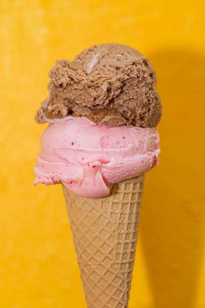 ice cream, fruit ice cream, cold, ice cream cone, summer, dessert, frozen, nature, waffle, chocolate ice cream, yummy, enjoy, meal, fruit, bio, reward, sundae, cute, food, iced coffee, sugar